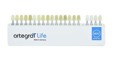 Escala de cores Artegral Life A-D + BLEACH